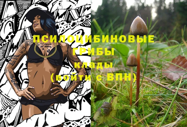 ALPHA-PVP Алексеевка