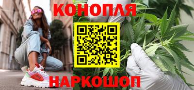 jwh Шебекино
