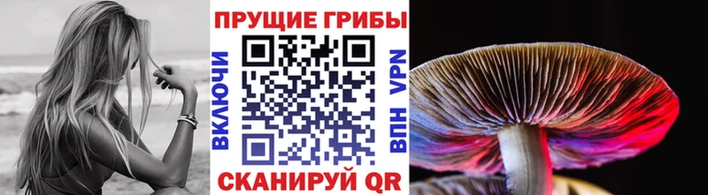 Галлюциногенные грибы Magic Shrooms  где найти наркотики  Апатиты 