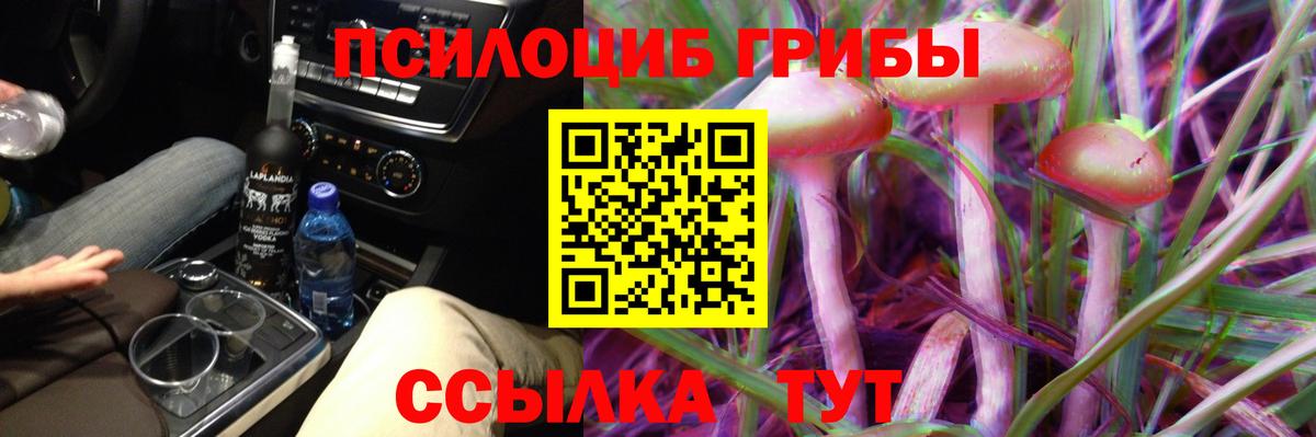 Псилоцибиновые грибы MAGIC MUSHROOMS  Вход с VPN  Псилоцибиновые грибы мицелий  Апатиты 